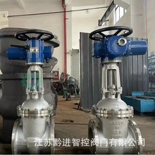 Z941X-25C DN300քly늄lyDZW60늃ÿh̿