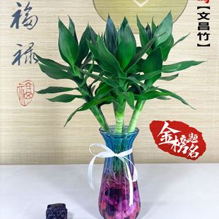 �Ĳ���4֧���F����ˮ�B����������ˮ��Gֲ����ֲ���҃��x������