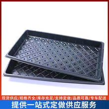 ����Ѩ�P �������ľ����������������Nֲ�PѨ��ѿ�˱P����Ѩ�P