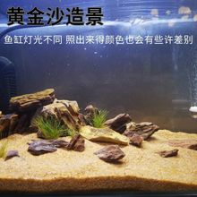 天然黄金沙底砂皇冠斑马狗头鱼专用沙河豚鼠鱼沙鱼缸造景化妆沙