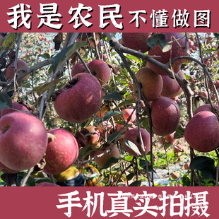 ���������ͨ�t��ʿ�����ĳ��O������ˮ���������rˮ��