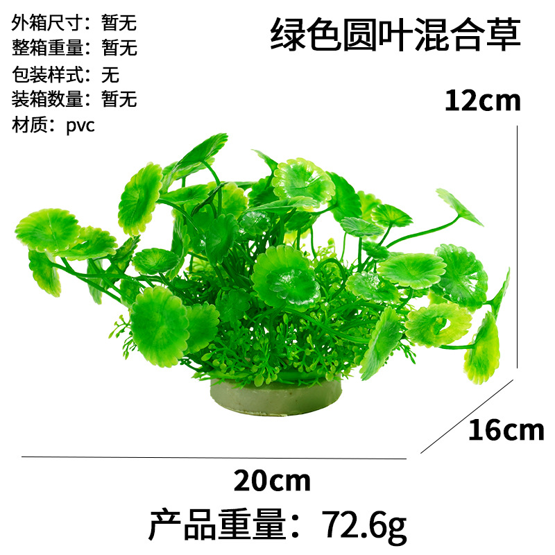 Hierba mixta de hojas redondas verdes (12cm)