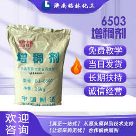 原料批发 洗涤原料透明度高洗洁精洗衣液洗车液增稠粉 6503增稠剂