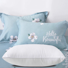 枕头枕芯带纯棉全棉枕套套装家用护颈学生宿舍酒店单人双人枕一对