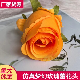6cm�������õ�廨õ�ٻ�c�b����l�ٻ��ٻ�c�b�������ٻ�