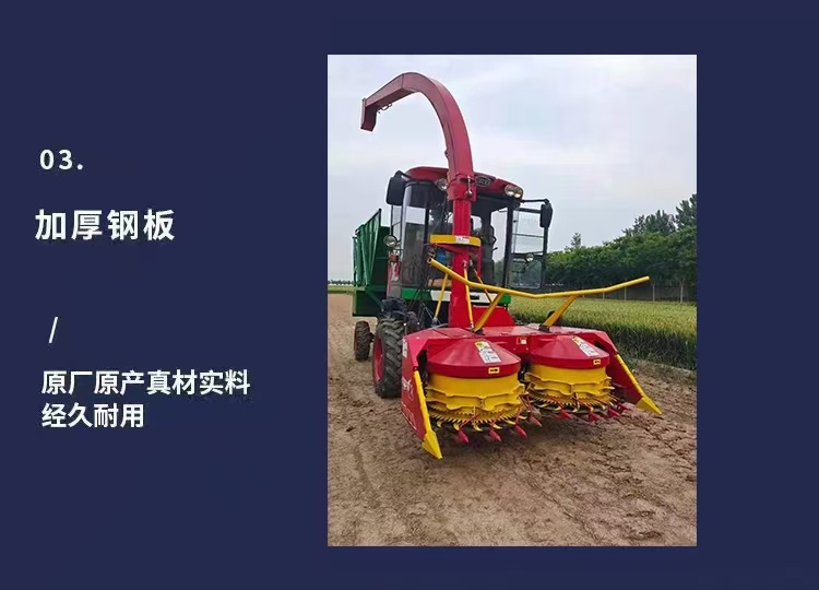 微信图片_20250803165511