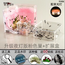 蚂蚁箱蚂蚁城堡蚁巢蚂蚁工坊屋窝箱平面蚁后繁殖观察箱盒麦太保