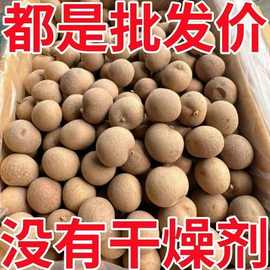 2025新货桂圆干清甜皮薄肉厚壳小产地直销大量货源批发现货