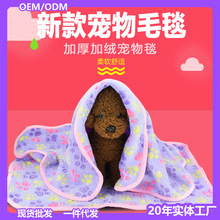 Сצӡë̺ ̺ӳᱣůɺqC|ӼӺ؈̺l