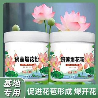 碗莲爆花粉植物肥料睡莲专用营养液促进开花的肥料水培荷花专用肥