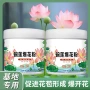植物开花促进水培专用肥
