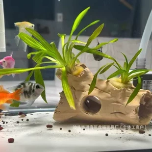 3D-декор для аквариума пещера-укрытие для рыб и креветок коряга