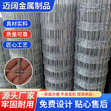 牛栏网养殖网拦牛羊防护网果园围栏网热镀锌防锈铁丝网跨境定制