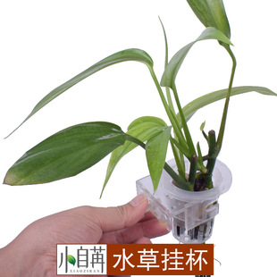 Yamazaki planting cup water grass cup water grass hydroponic plant wall-mounted planting basket fish tank decoration landscaping accessories