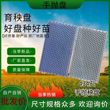 水稻育秧软盘平底盘托盘手抛秧盘连体人工育苗盘434孔手抛秧盘