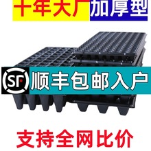 �����������PѨ�P�߲������������������������������ľ������