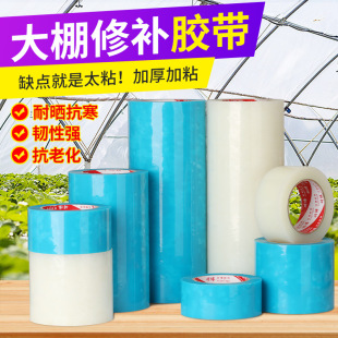 PE greenhouse repair tape agricultural fruit and vegetable film waterproof repair tape thickened cold-resistant anti-aging film tape