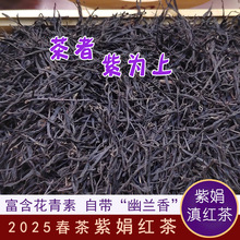 2025 ����Ͼ�Ʒ�N��t�� ��ѿ�� ɢ�b ���������� �Ͼ�t�����l