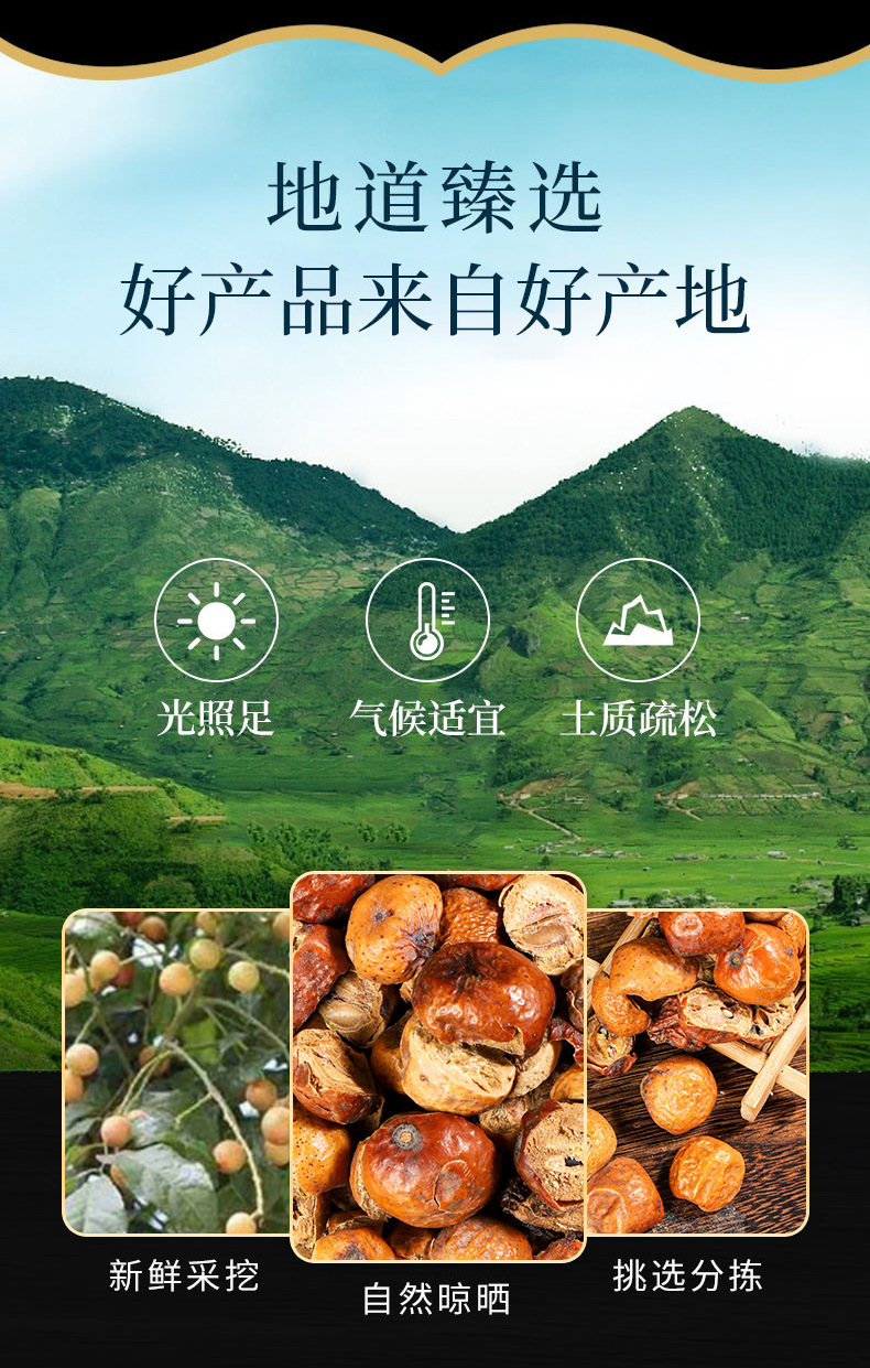 Chuan Lian Zi (Melia toosendan) — Dried Fruit Herb, Powder Option Available key features