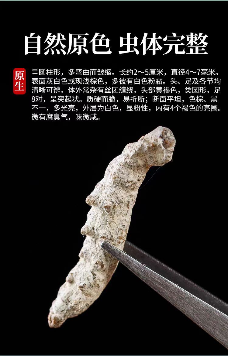 Bai Jiang Can (Bombyx Batryticatus) — Stir-Fried Silkworm Herb, 500g Food-Herb Decoction Pieces overview