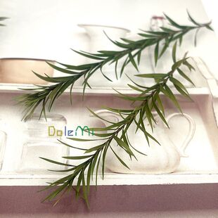 ǧ�ӽ�diy�ɻ�ֲ����С�~�ȼ����~�Gֲ�b[������O���~��