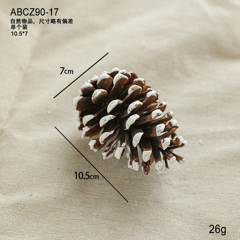 クリスマスシーン装飾用品天然松ぼっくりログ植物ドライフルーツドライ素材雰囲気装飾小道具ドライフラワー|undefined
