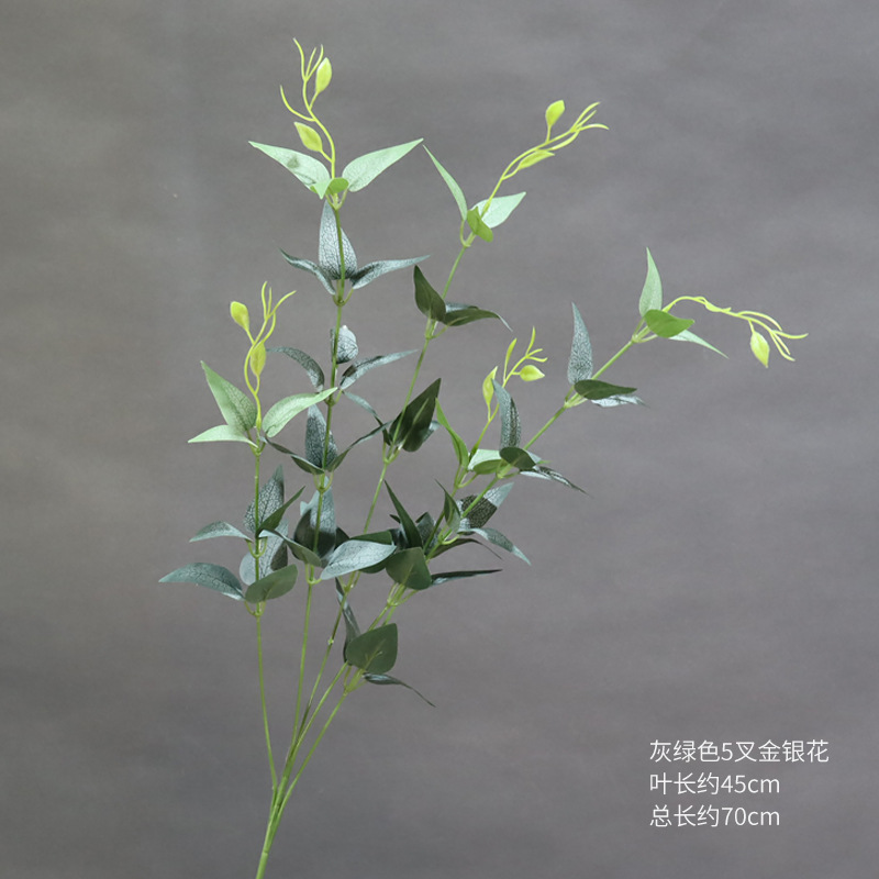 Una madreselva gris verdoso de 5 puntas