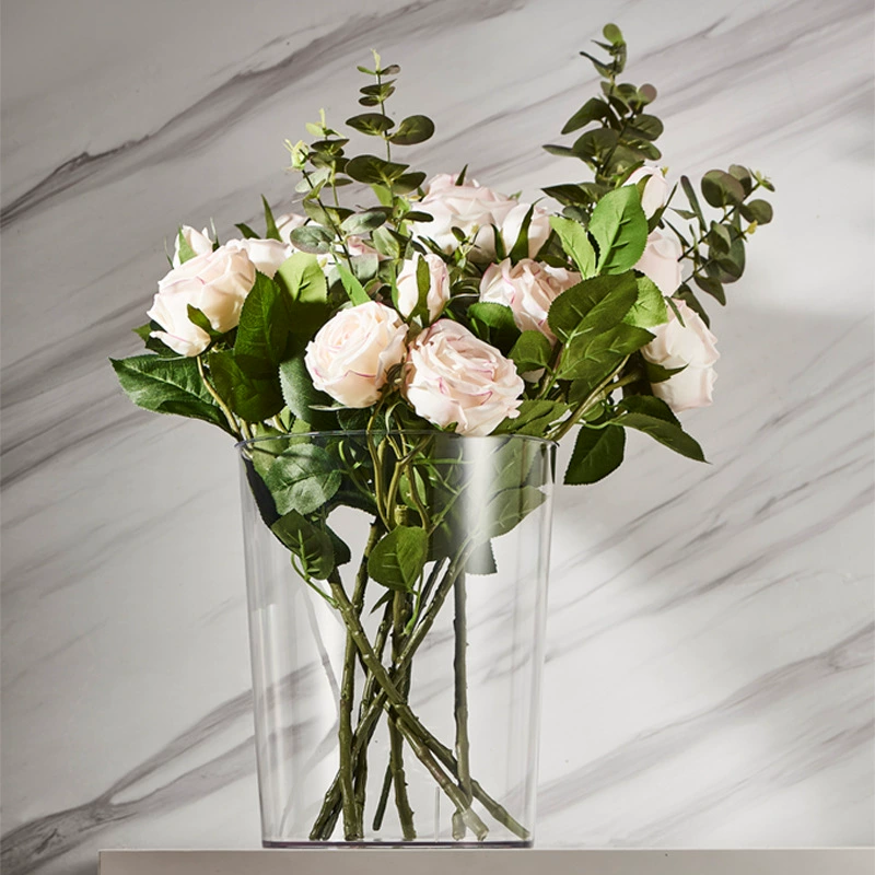 Transparent capacious garbage can for home use for living room, storage system, increased thickness