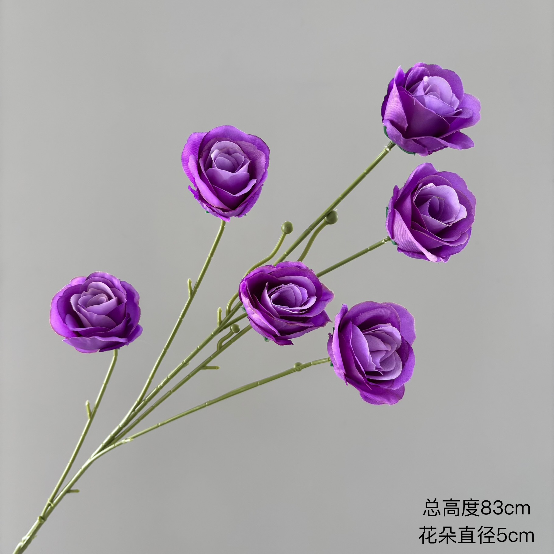 6송이의 아름다운 장미 (짙은 보라색)