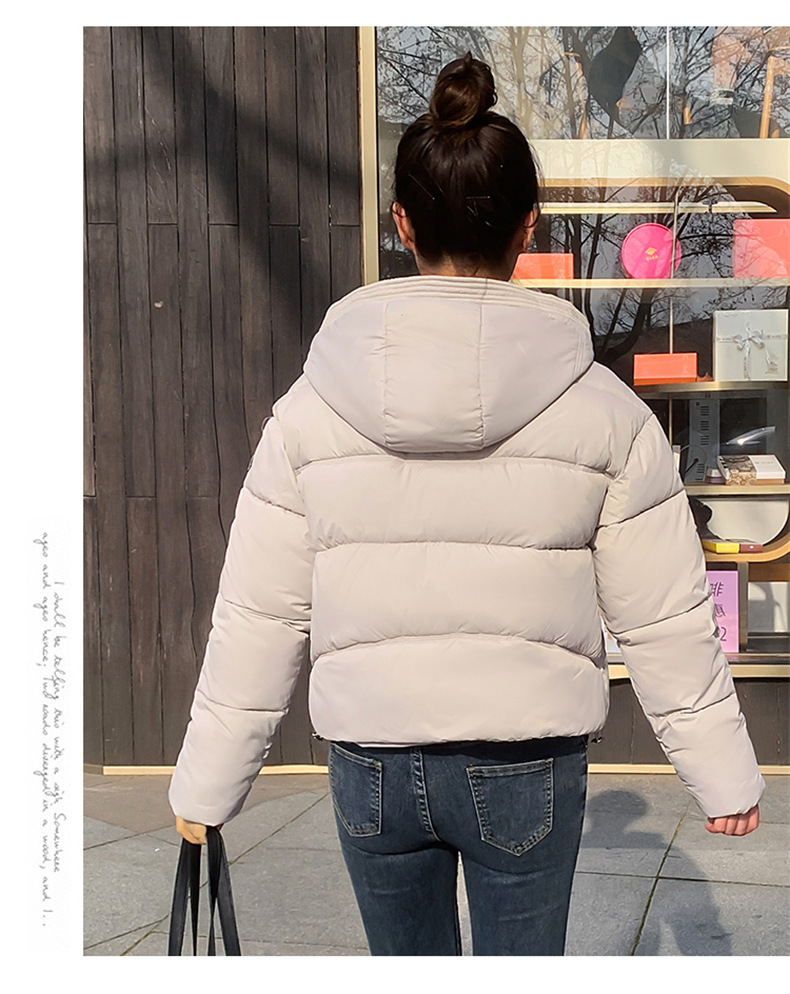 제이드 화이트