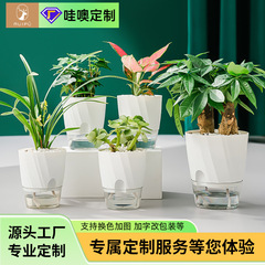 2022新型怠け者緑羅植物自動吸水小鉢デザイン感透明水養水培プラスチック鉢器