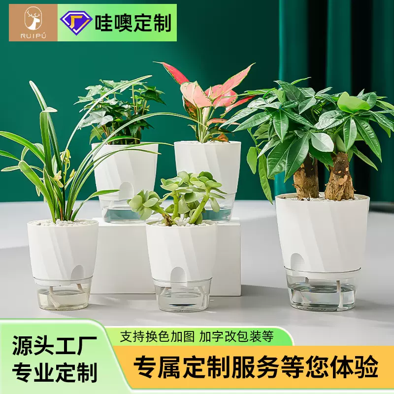 新款懒人绿萝植物自动吸水小花盆设计感透明水养水培植物塑料花盆