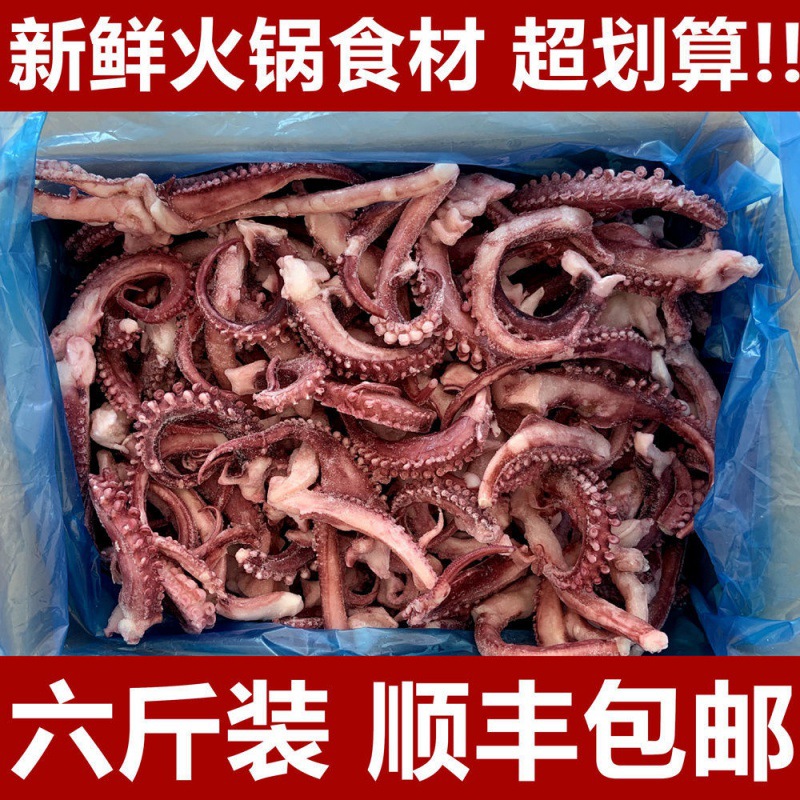 Squid wholesale Freezing fresh Seafood Aquatic products octopus octopus Hot Pot Ingredients barbecue barbecue Garnish