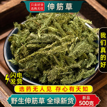 Ұ��������ș��500�� С�������_ș�� ����͸�ǲ��h־������