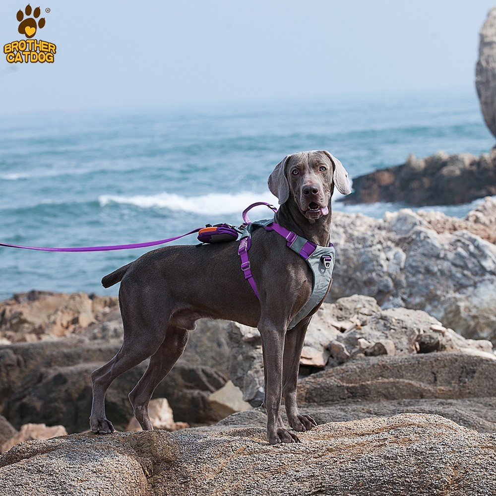 Correa para el pecho del perro mascota en forma de I reflectante perro chaleco correa de elevación a prueba de explosión de perforación