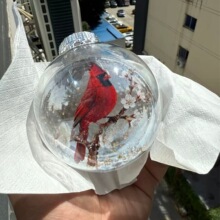 2026�羳��Ʒ Wildlife Wonders Collection&trade; Crystal Glass Orn