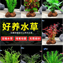 ��ɽʯˮ��ֲ������~��ˮ���쾰���������B�~�ײͺ��������