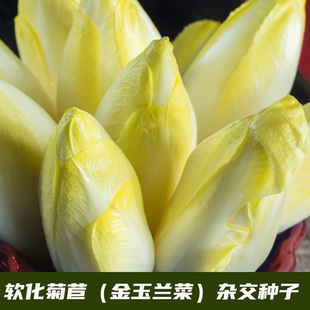 �W��ѿ����ķN�� ���m�� ܛ�����ķN���� �̨ͥԺ�Nֲ �S���ز�