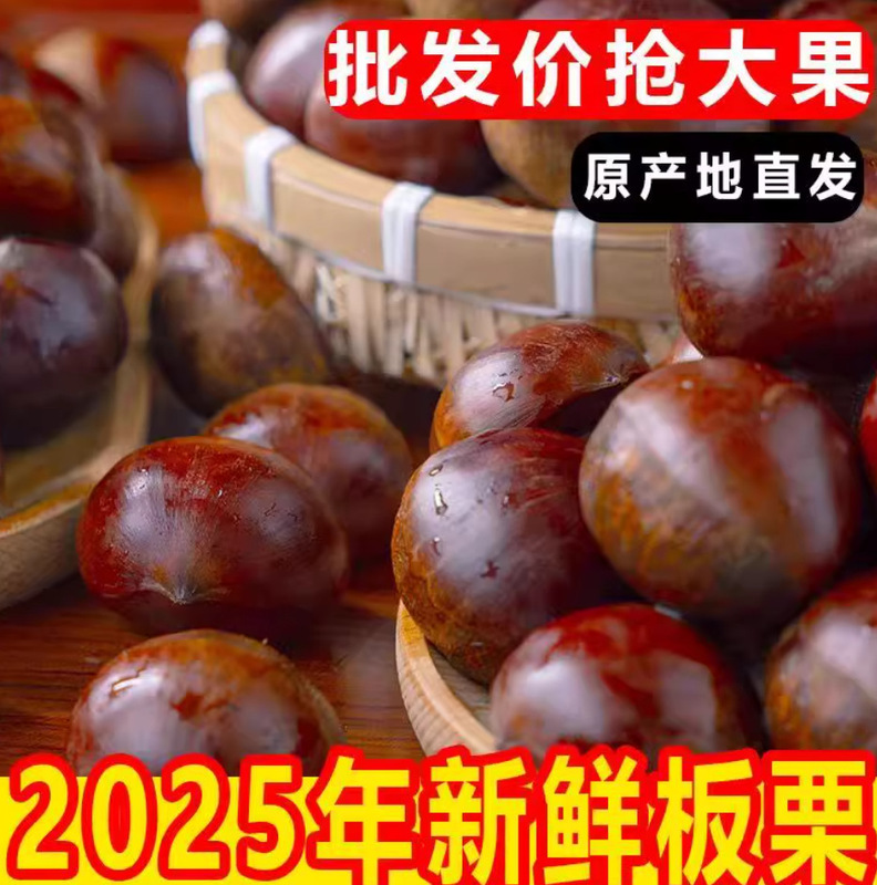 2025 Fresh Dandong Chestnuts 2.5kg Fresh Chestnuts, Tender Large Chestnuts, Wild Qianxi Chestnuts, Oil Cones Chestnuts 2025 Fresh Dandong Chestnuts 2.5kg Fresh Chestnuts, Tender Large Chestnuts, Wild Qianxi Chestnuts, Oil Cones Chestnuts