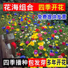 ļҰMϻNll廨^ܷNӰղݸɣN