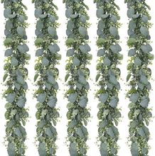 �羳��������ֲ�� ����~�������h��˪�ȼ������X�~�ٗl����Gֲ