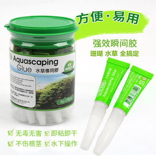 ̨��ISTA��ʿ�_˲�g�zˮ��ľʯ�^ˮ��mossɺ���zˮ�ǰ�¡�lP���z