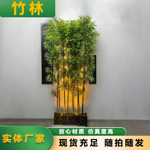 �S�����l���~��z���쾰�b����҃���Gֲ�������Ͻ�z�����G��