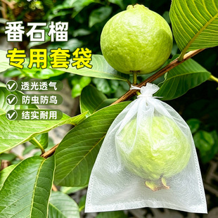 ��ʯ���״�͸��o����������͸����B���x���K���ڱ��o�Ř����@��