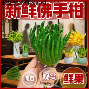 ���ָ��r�����r���㙴���^�pʳ���㎧֦�幩ˮ��ˮ�B�k���Ҕ[��