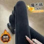 秋冬新款大码外穿打底裤
