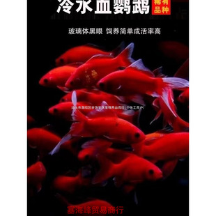 ��ˮ�W�^�~��ؔ�t�~��ˮ���B�׻���ˮ�~���^�p�~���~���~�ͻ��S��