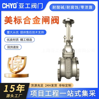 20号合金闸阀ALLOY20 美标CN7M 气动20闸法兰