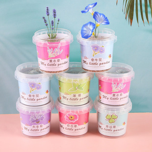 Children Plant Small Potted Sunflowers, Sunflowers, Strawberry Flower Seeds, Plant Growth Observation Vegetable Seeds