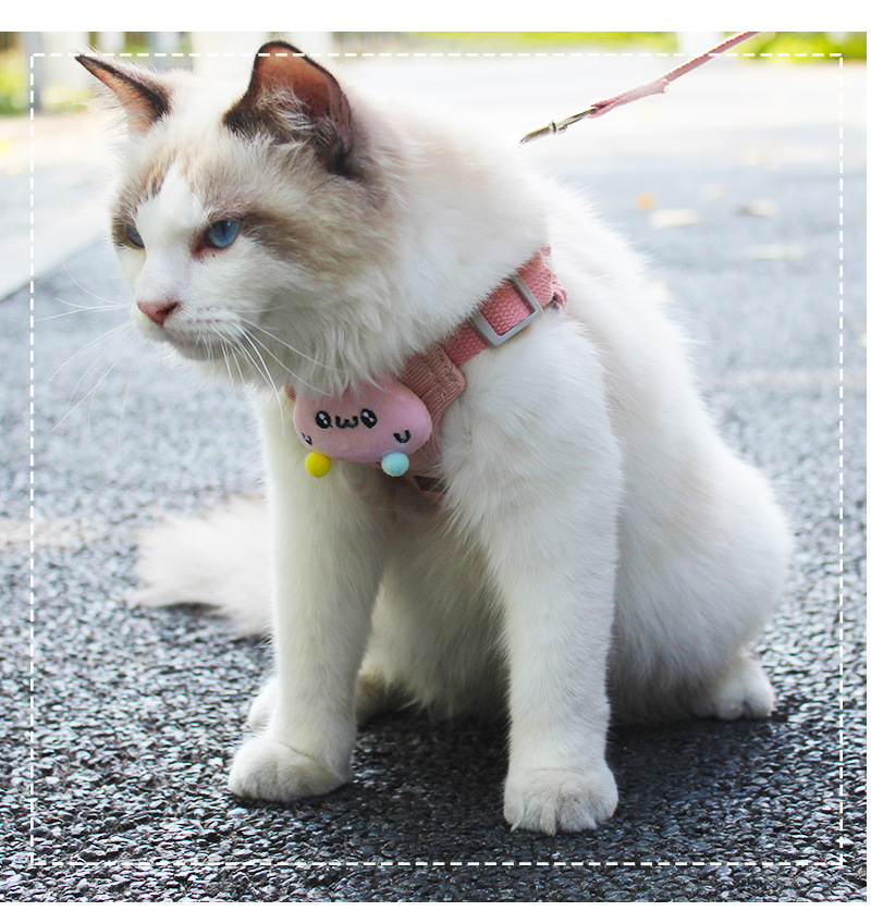 Pet Leash Collection